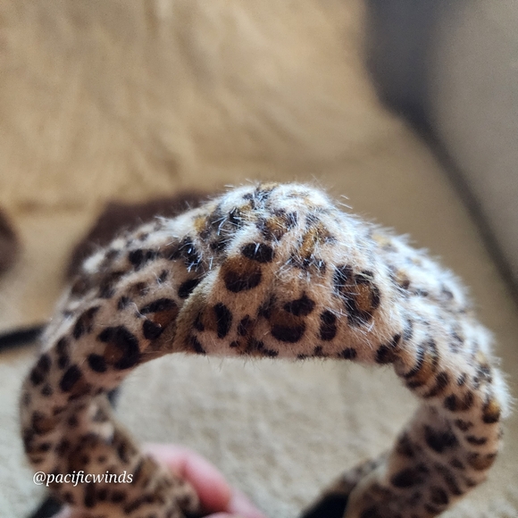 NWOT 3 HEADBANDS & 2 HAIR TIES - Picture 5 of 8